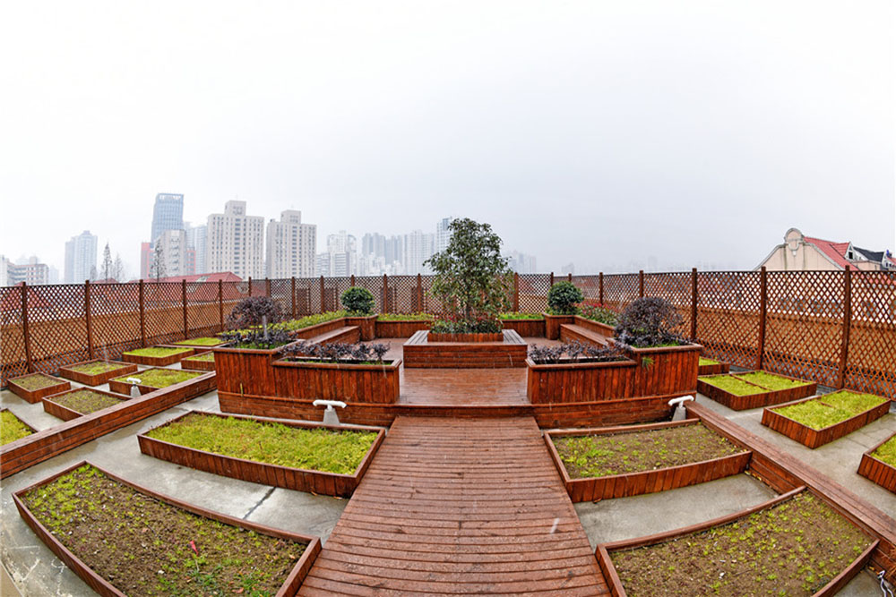 屋顶花园