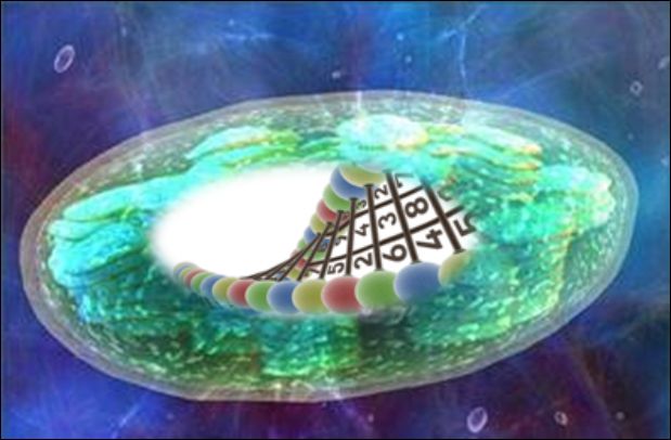 高通量测序——研究土壤微生物的新手段